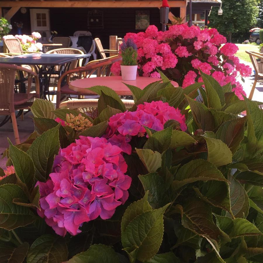 Boerderijcamping Plantlust Veere Dış mekan fotoğraf