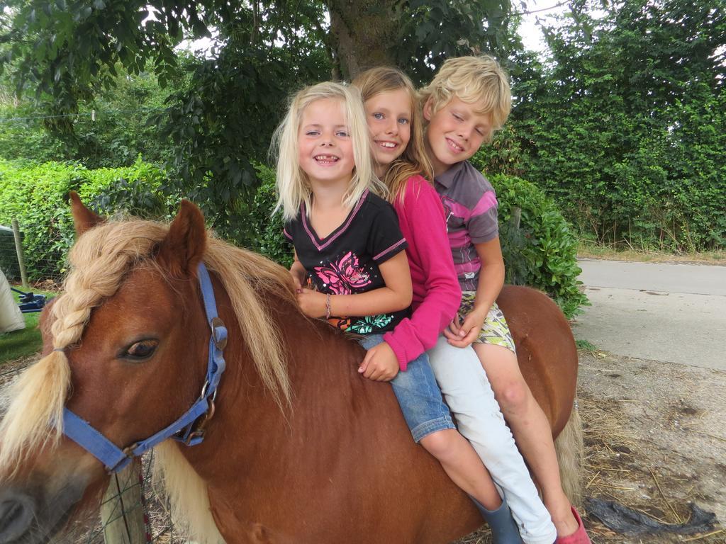 Boerderijcamping Plantlust Veere Oda fotoğraf