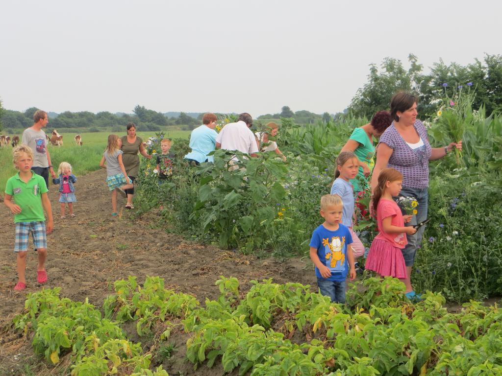 Boerderijcamping Plantlust Veere Oda fotoğraf