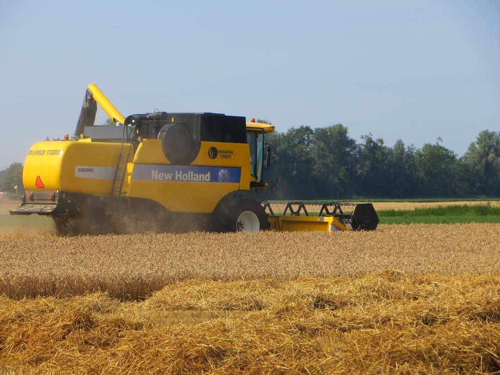 Boerderijcamping Plantlust Veere Oda fotoğraf