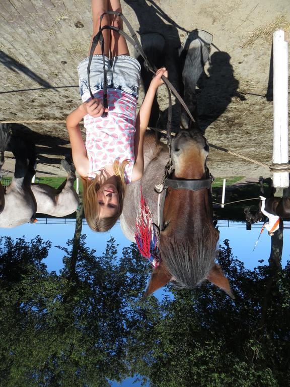 Boerderijcamping Plantlust Veere Dış mekan fotoğraf